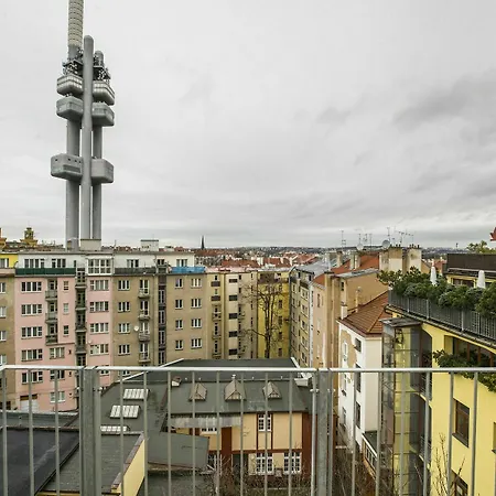 Apartment Jagellonska